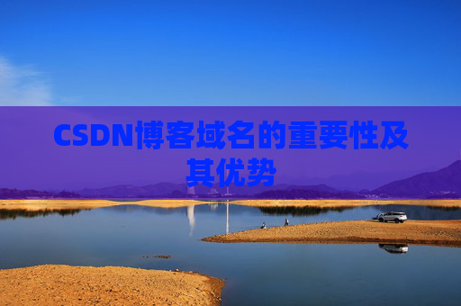 CSDN博客域名的重要性及其优势